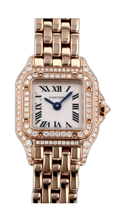 model/images/19166_20240218140516771096_Cartier_Panthère_WJPN0020